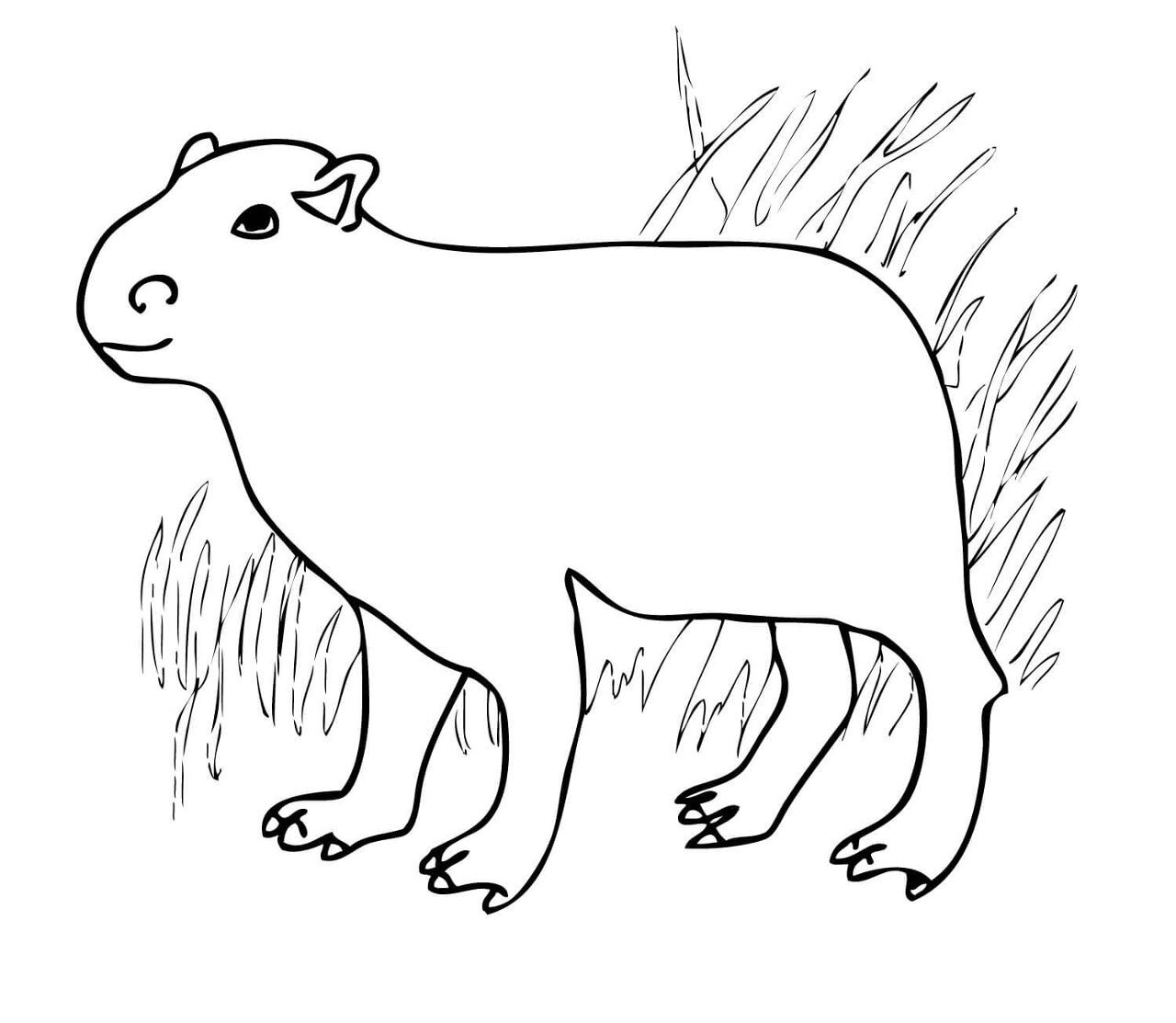 Desenho de Capivara para colorir e imprimir: número 34