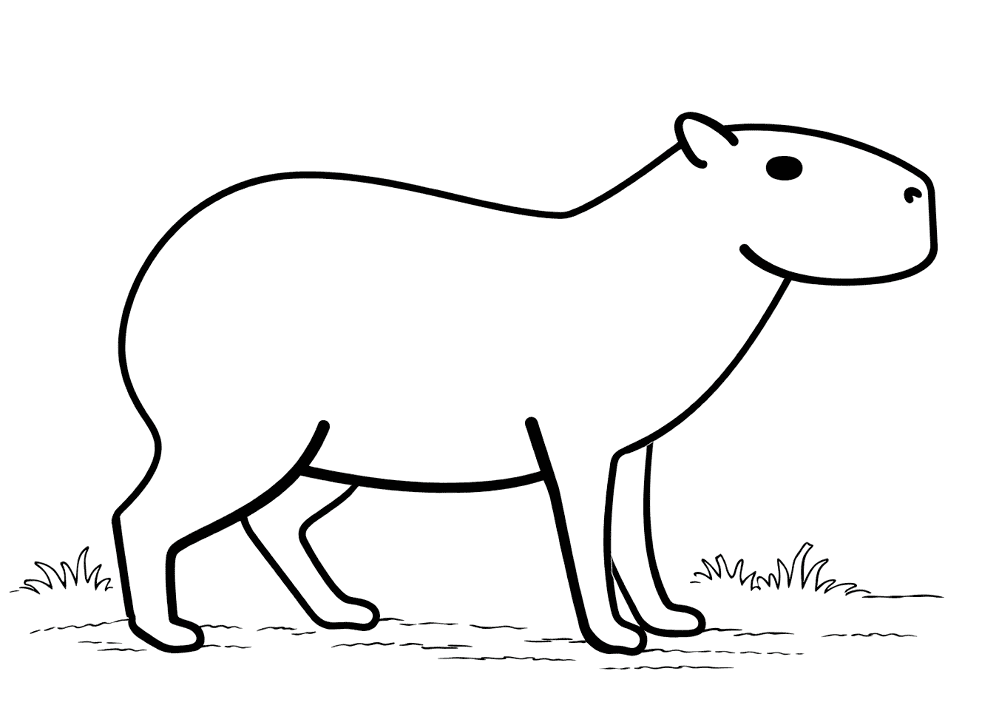 Desenho de Capivara para colorir e imprimir: número 40