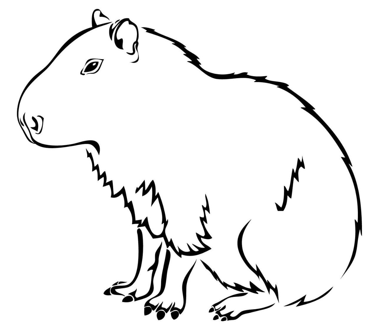 Desenho de Capivara para colorir e imprimir: número 41