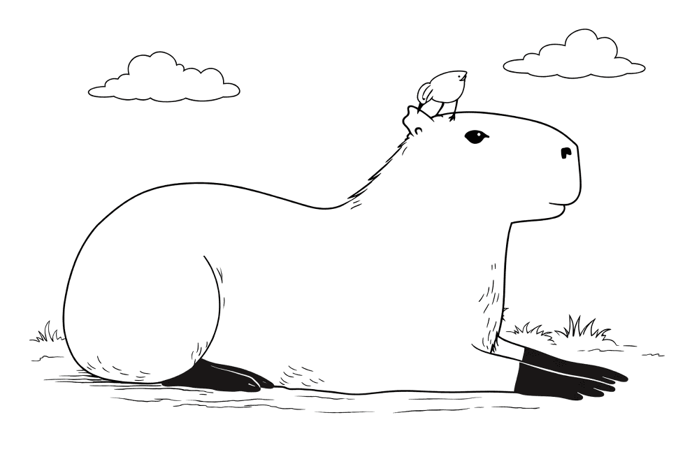 Desenho de Capivara para colorir e imprimir: número 42