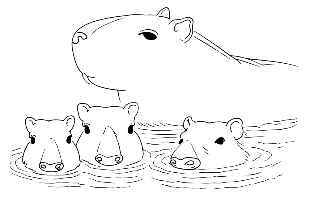Desenho de Capivara para colorir e imprimir: número 45
