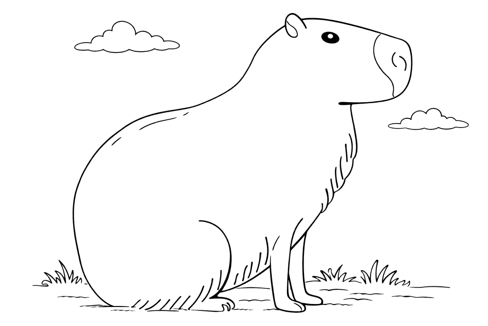 Desenho de Capivara para colorir