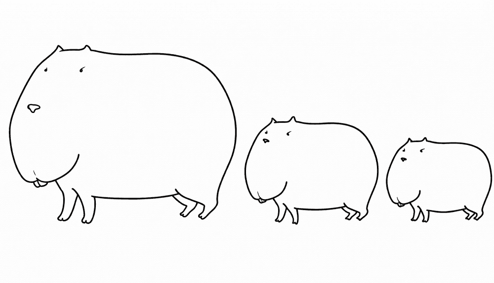 Desenho de Capivara para colorir