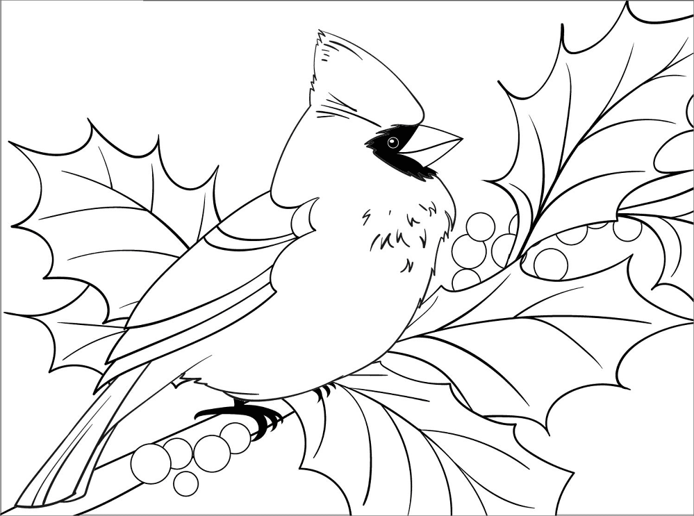 Desenho de Cardeal para colorir e imprimir: número 1