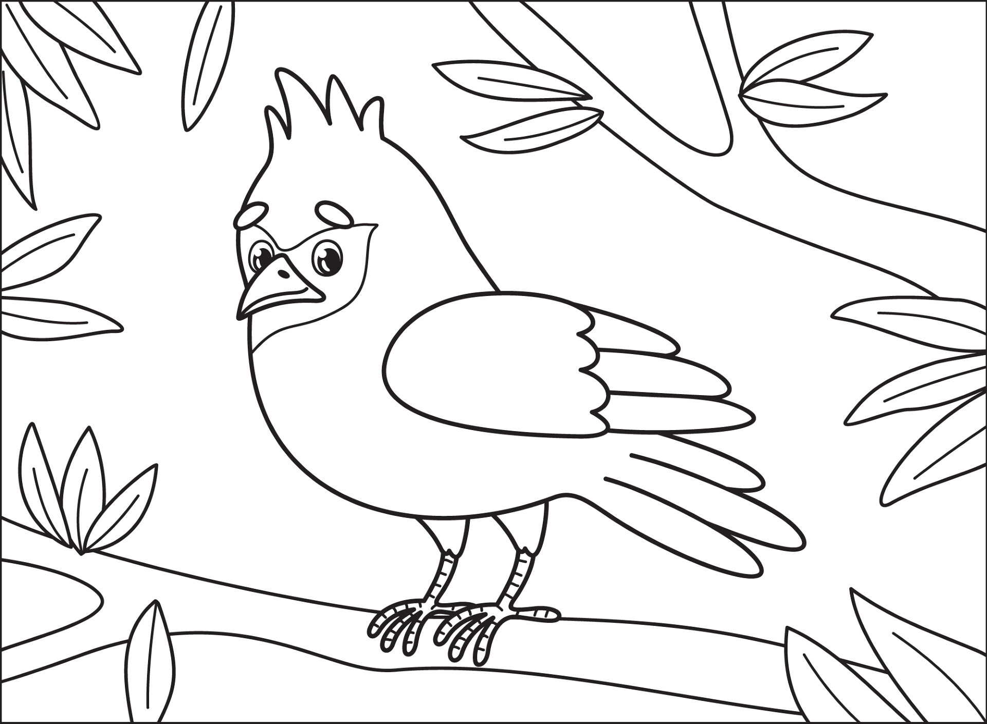 Desenho de Cardeal para colorir e imprimir: número 6