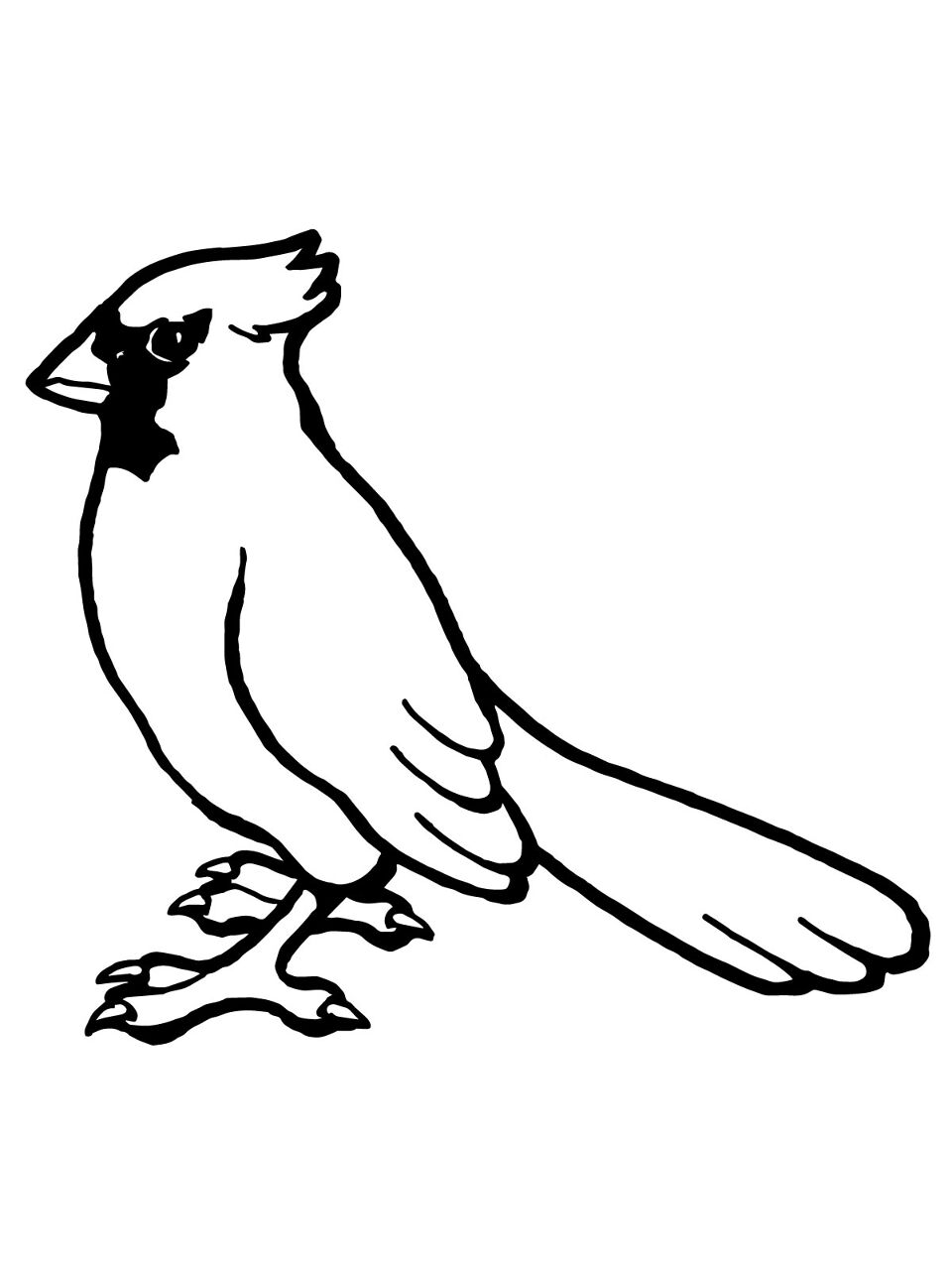 Desenho de Cardeal para colorir e imprimir: número 12