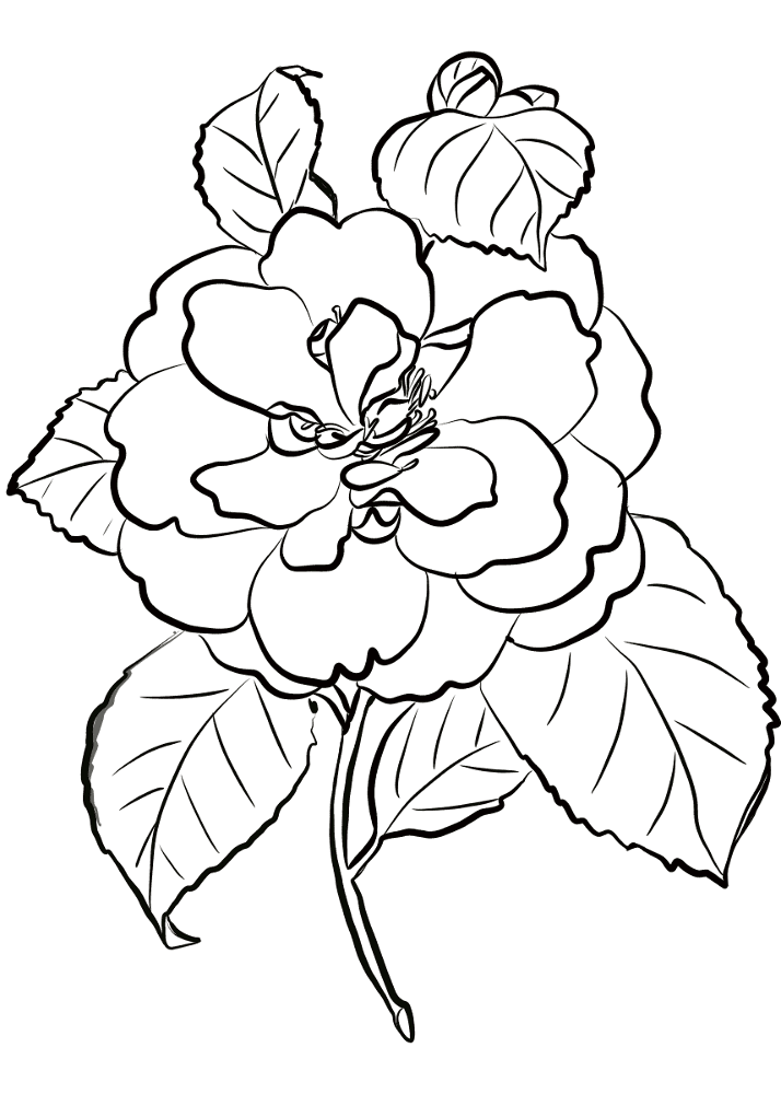 Desenho de Casamento para colorir e imprimir: número 23