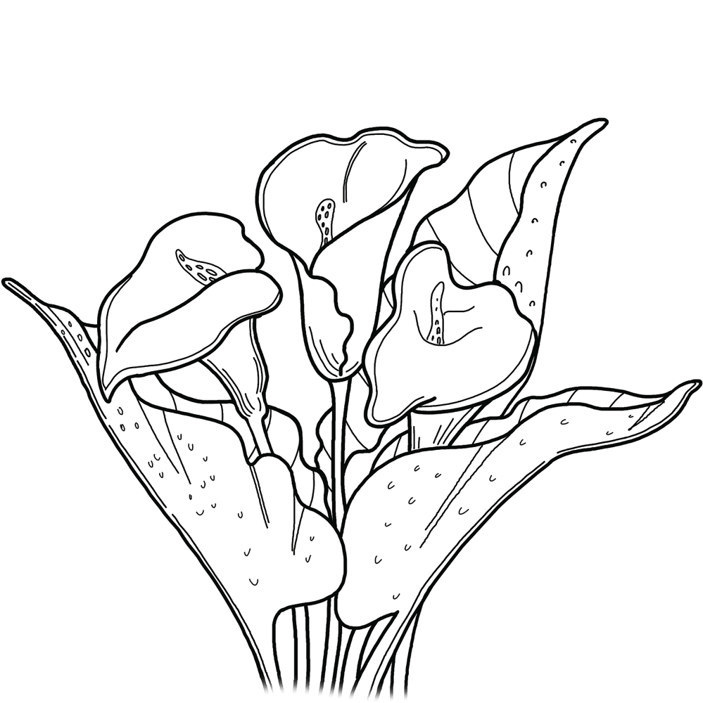 Desenho de Casamento para colorir e imprimir: número 28