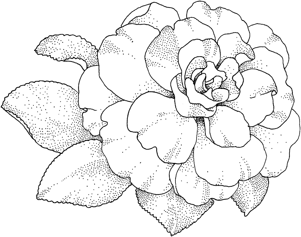 Desenho de Casamento para colorir e imprimir: número 39