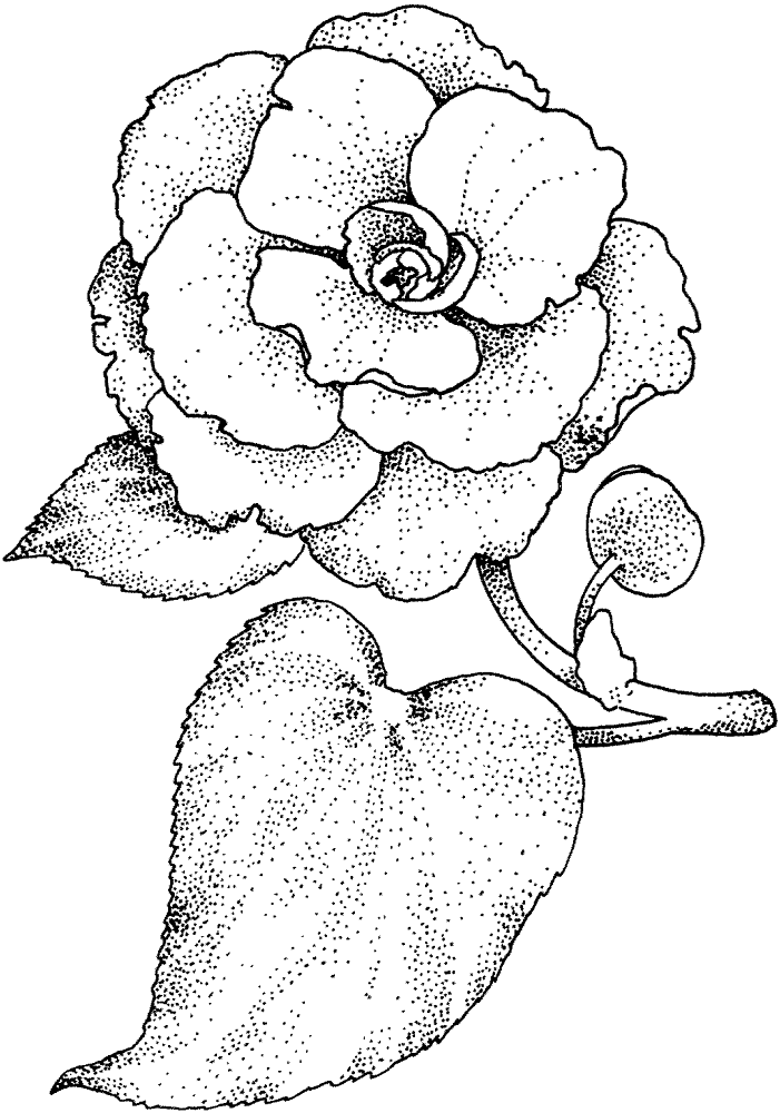 Desenho de Casamento para colorir e imprimir: número 40
