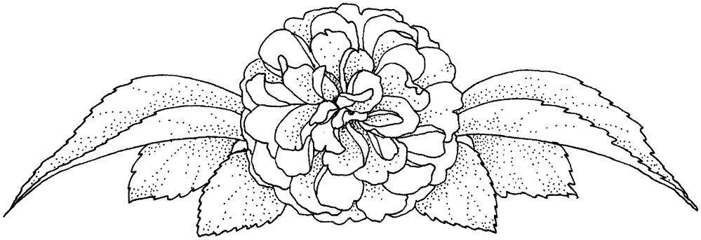 Desenho de Casamento para colorir e imprimir: número 41