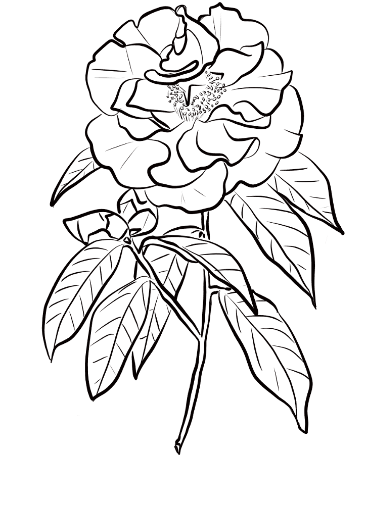 Desenho de Casamento para colorir e imprimir: número 42