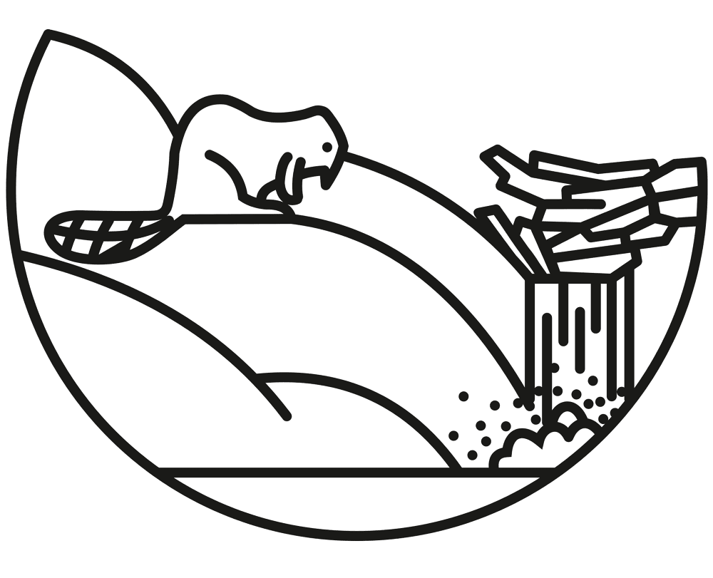 Desenho de Castores para colorir e imprimir: número 2