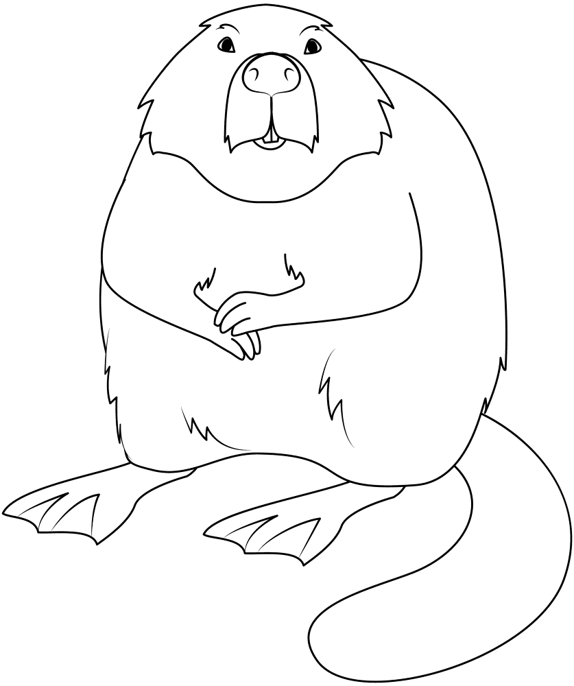 Desenho de Castores para colorir e imprimir: número 3