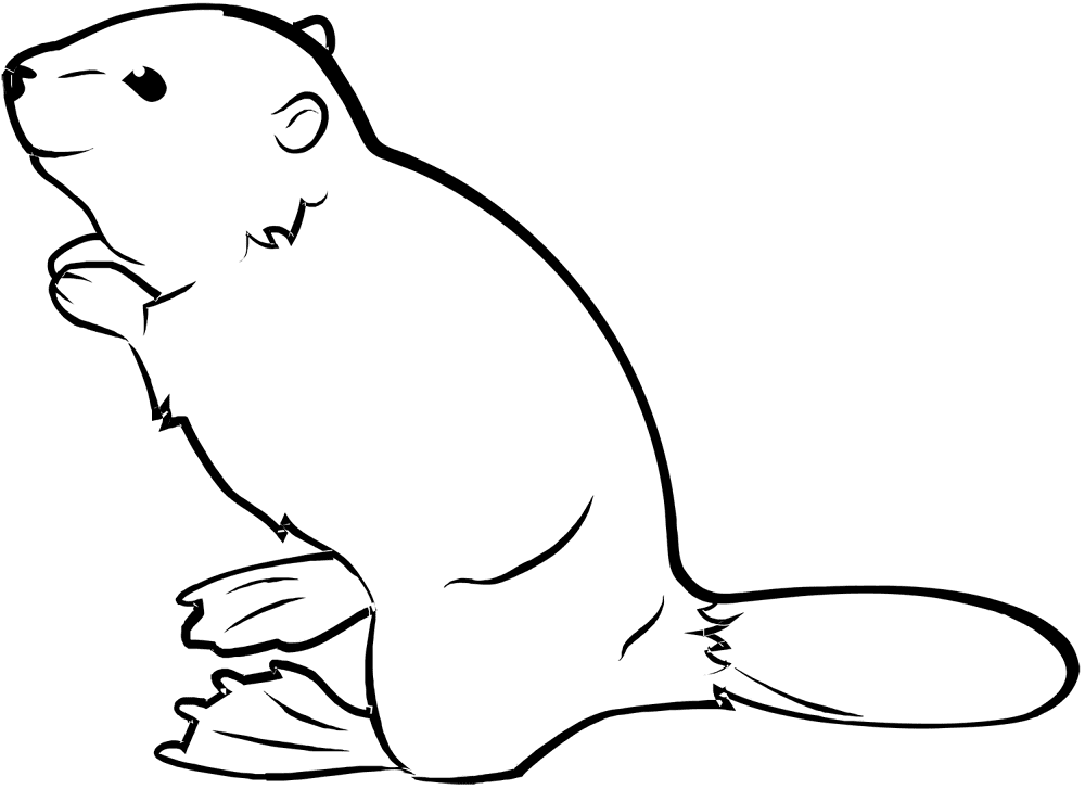 Desenho de Castores para colorir e imprimir: número 5
