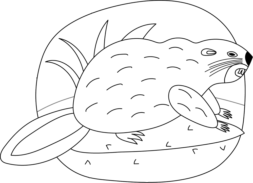 Desenho de Castores para colorir e imprimir: número 8