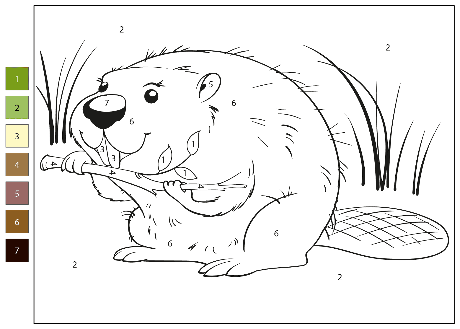 Desenho de Castores para colorir e imprimir: número 9