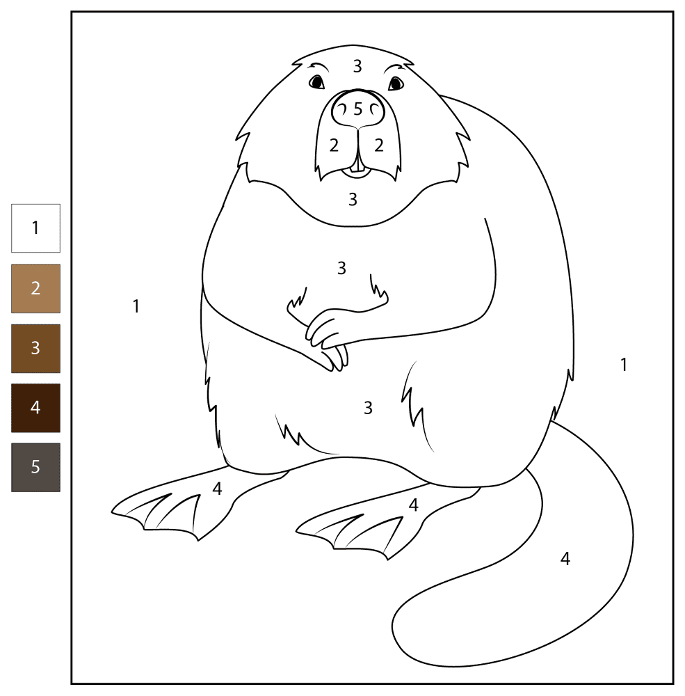 Desenho de Castores para colorir e imprimir: número 10