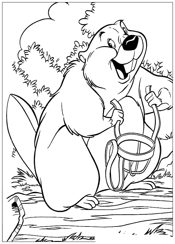 Desenho de Castores para colorir e imprimir: número 11