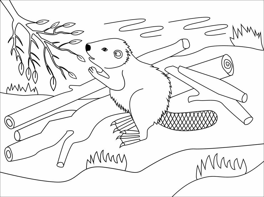 Desenho de Castores para colorir e imprimir: número 15