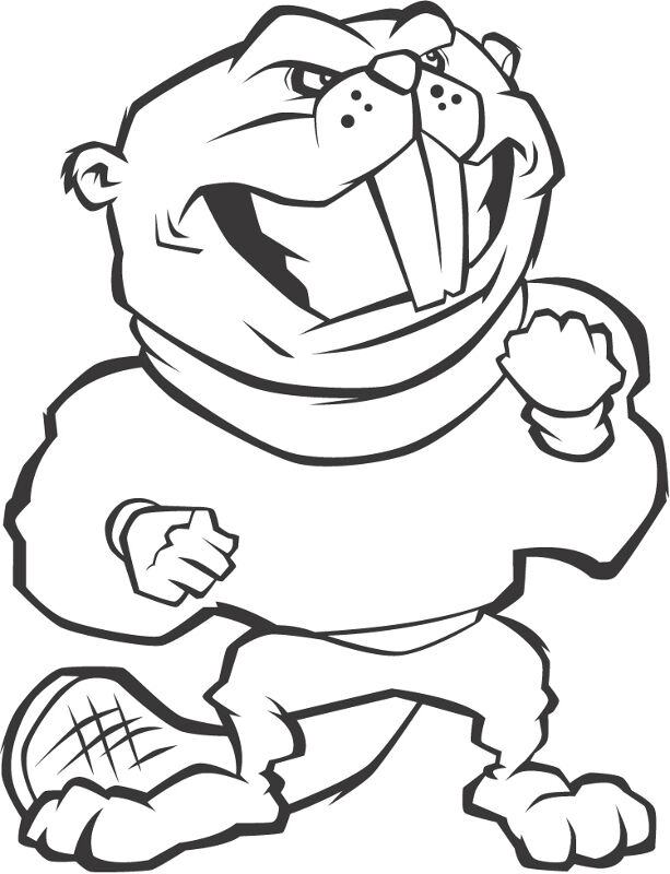 Desenho de Castores para colorir e imprimir: número 19