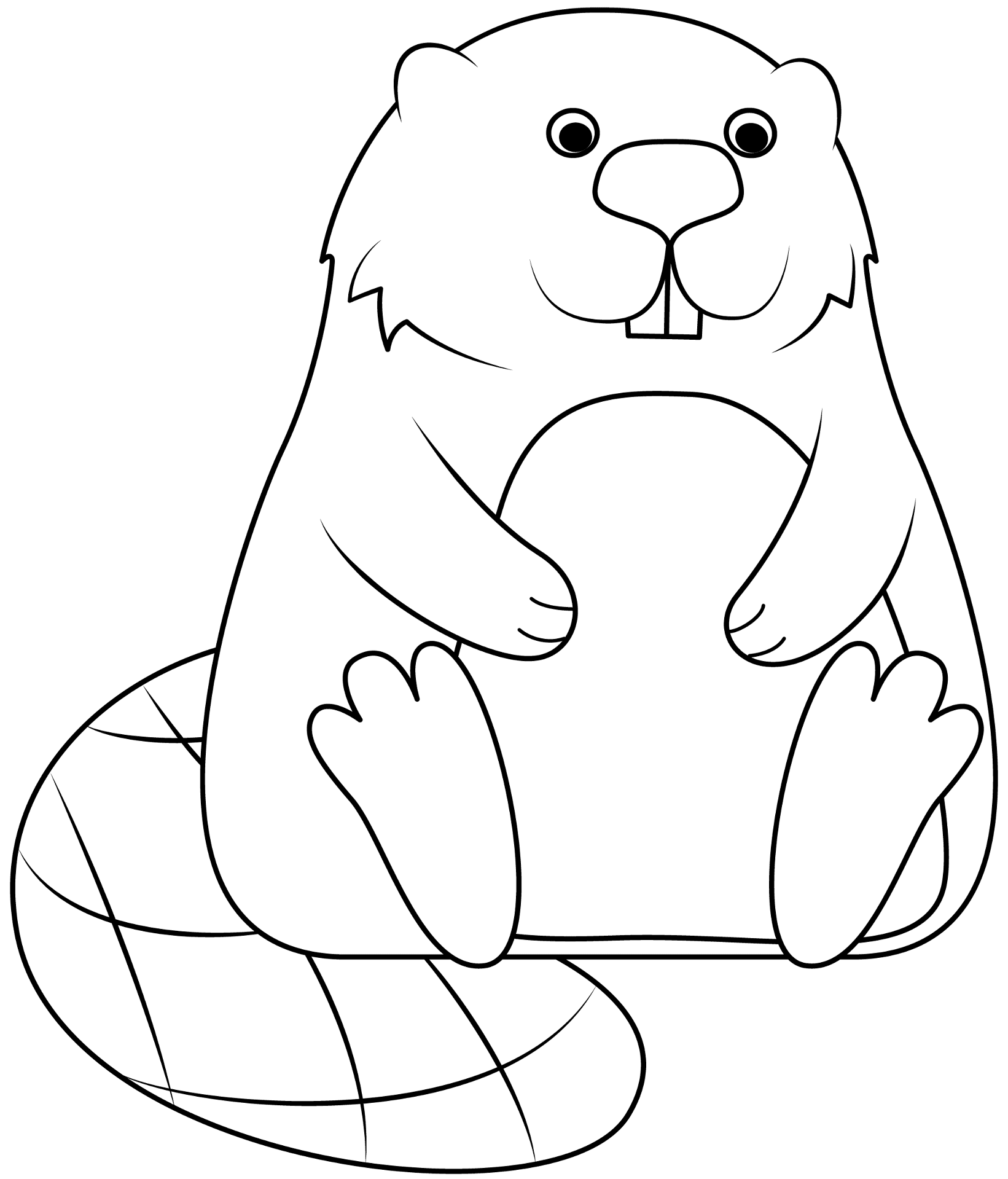 Desenho de Castores para colorir e imprimir: número 27