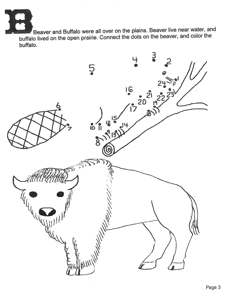 Desenho de Castores para colorir e imprimir: número 28