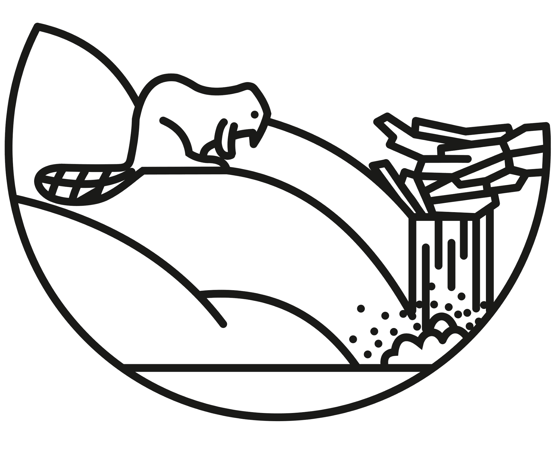 Desenho de Castores para colorir e imprimir: número 33