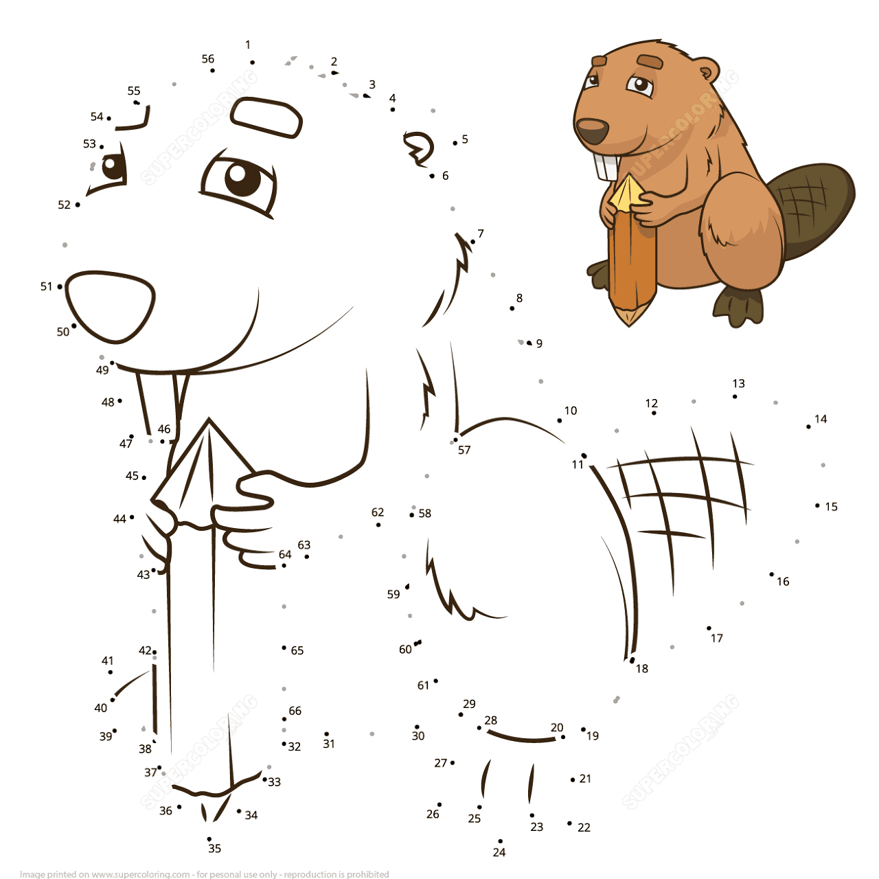 Desenho de Castores para colorir e imprimir: número 35