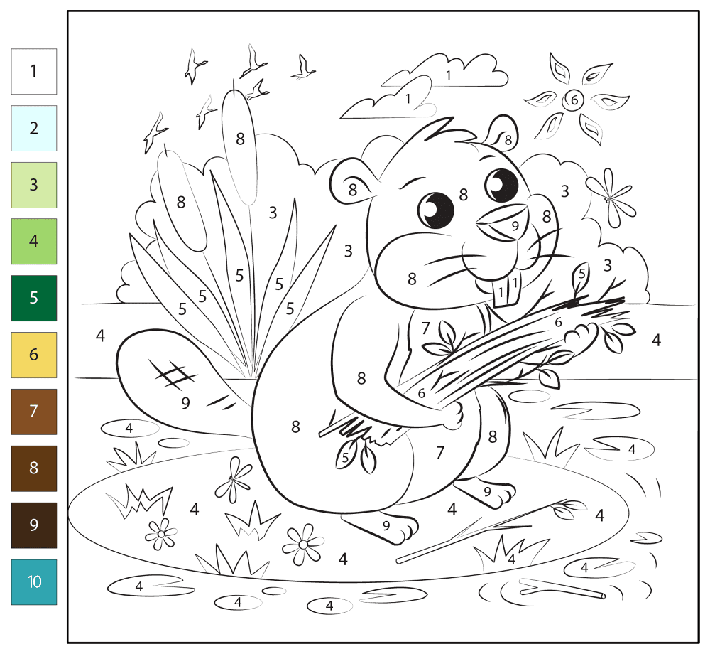 Desenho de Castores para colorir e imprimir: número 45