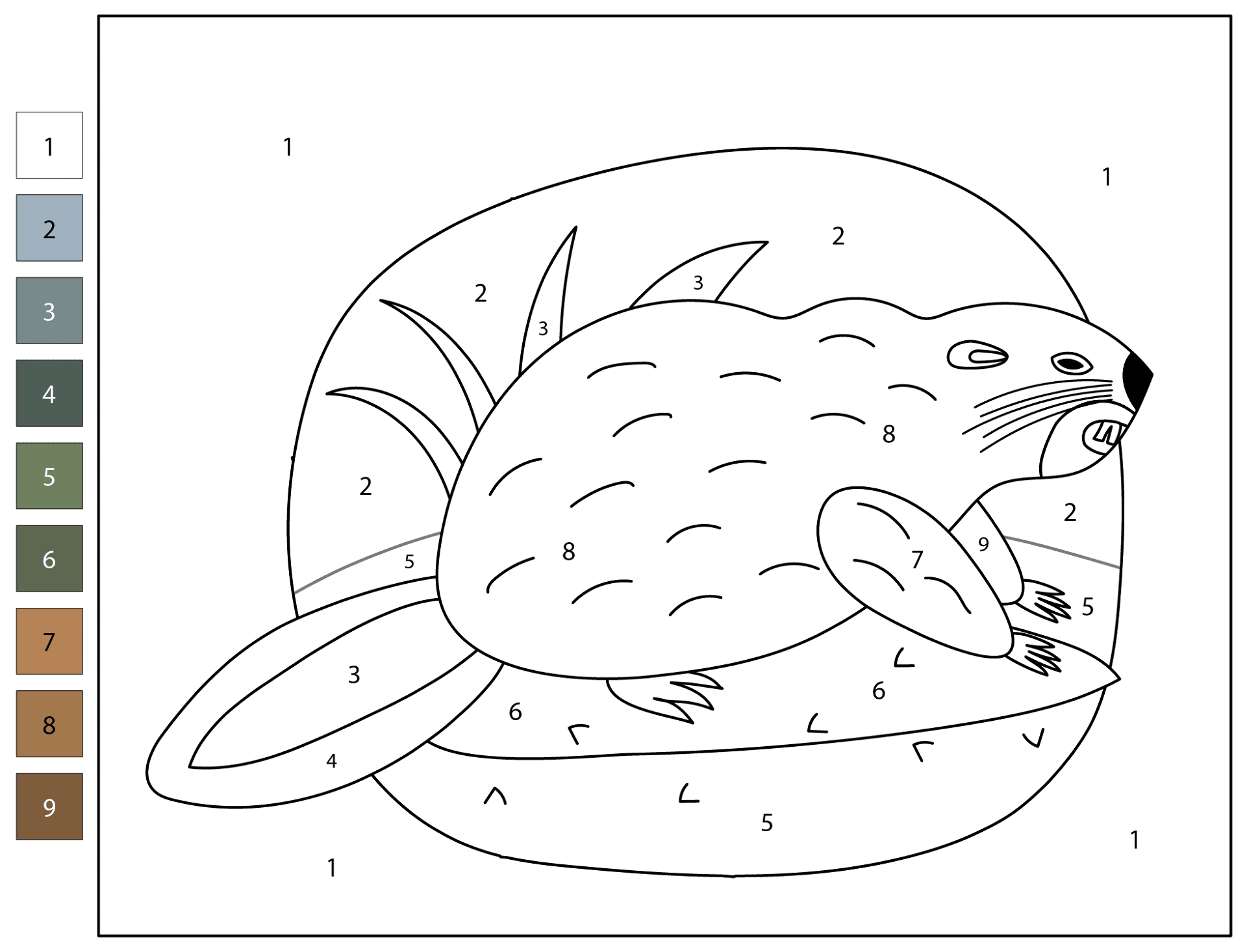 Desenho de Castores para colorir e imprimir: número 47