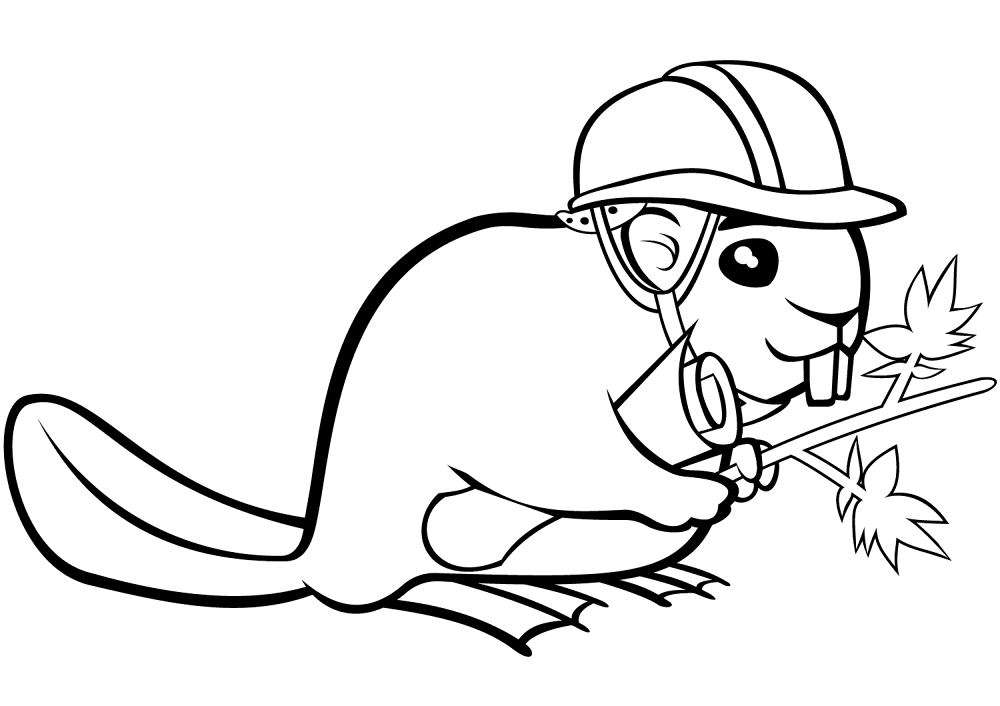 Desenho de Castores para colorir