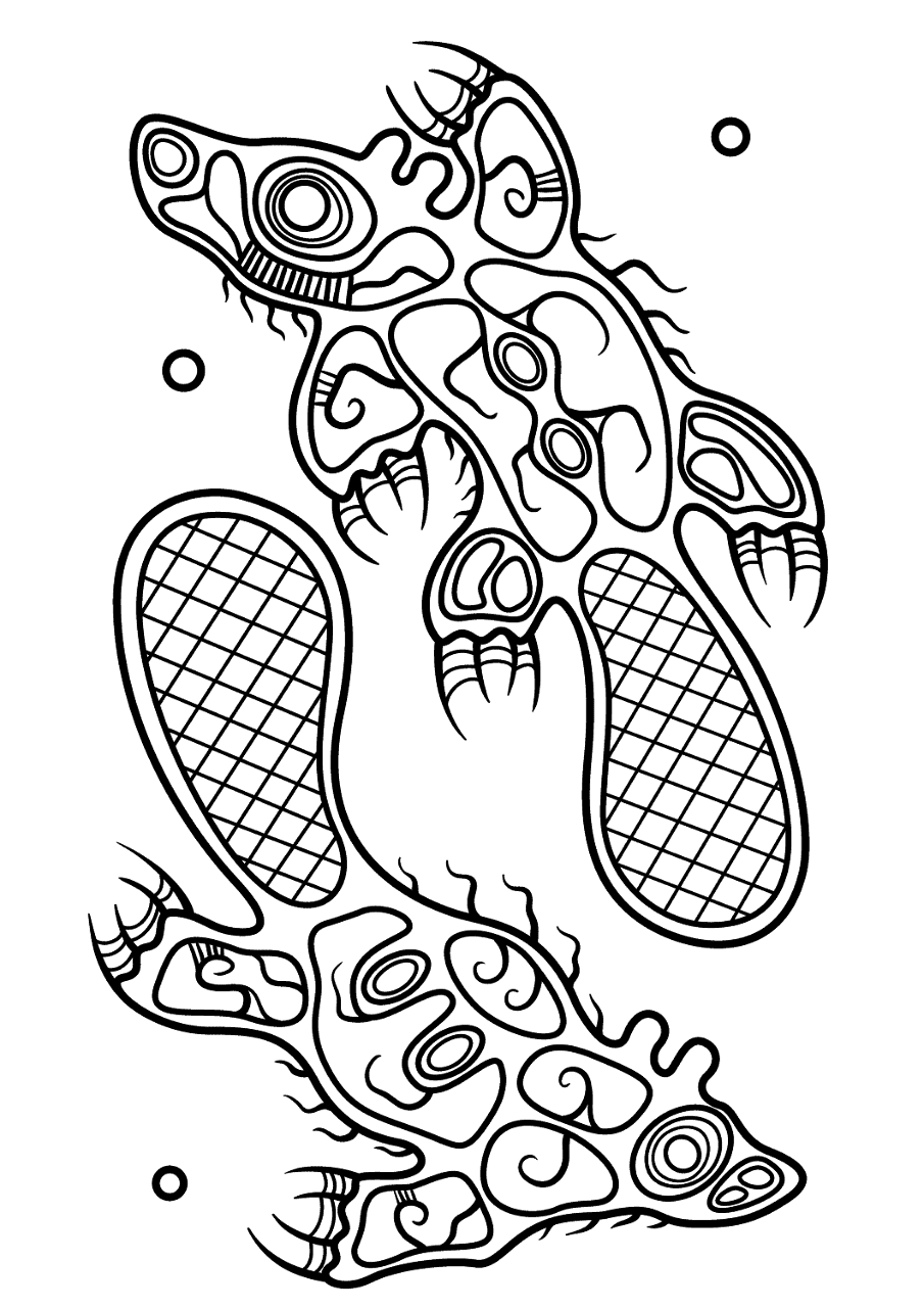 Desenho de Castores para colorir