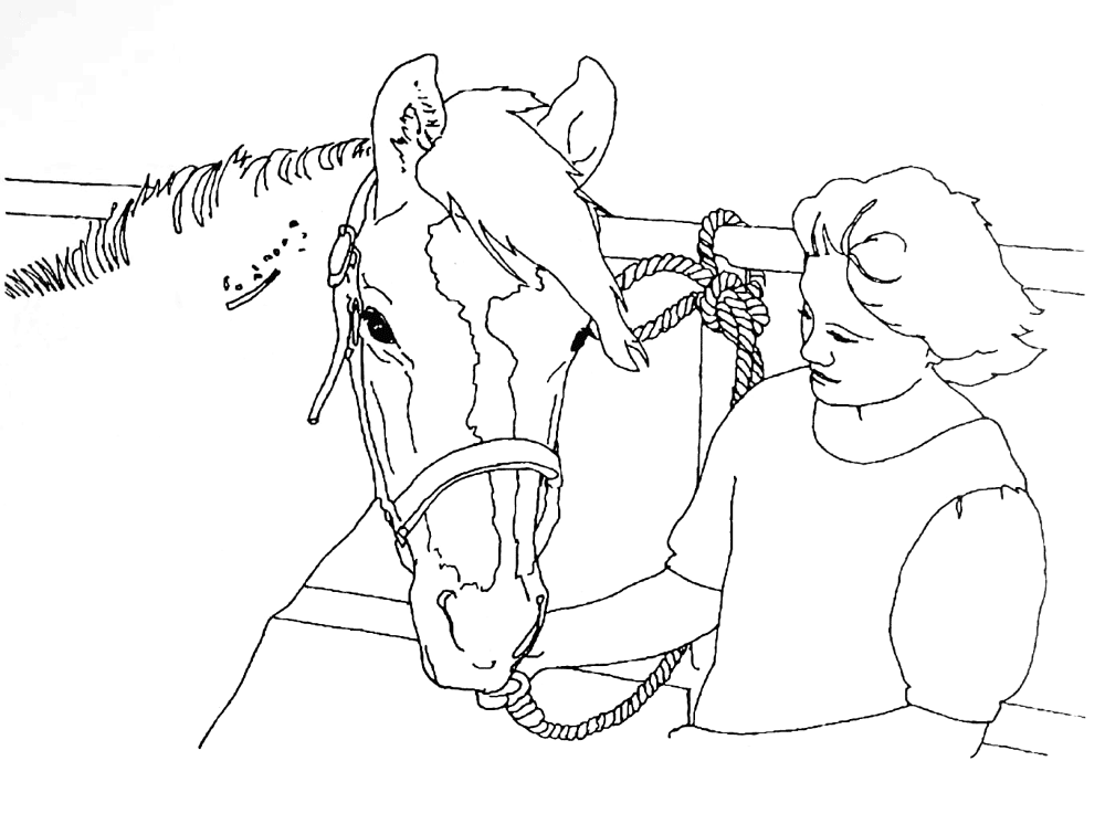 Desenho de Cavalos para colorir e imprimir: número 1