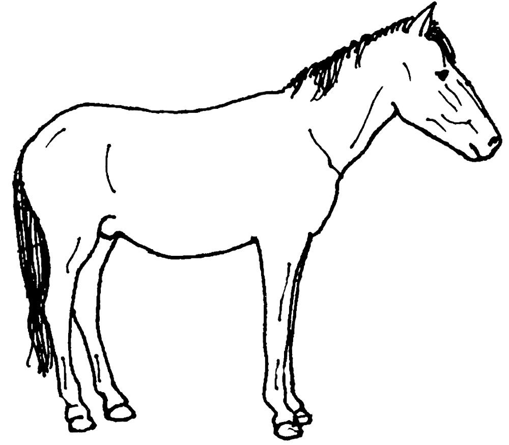 Desenho de Cavalos para colorir e imprimir: número 12