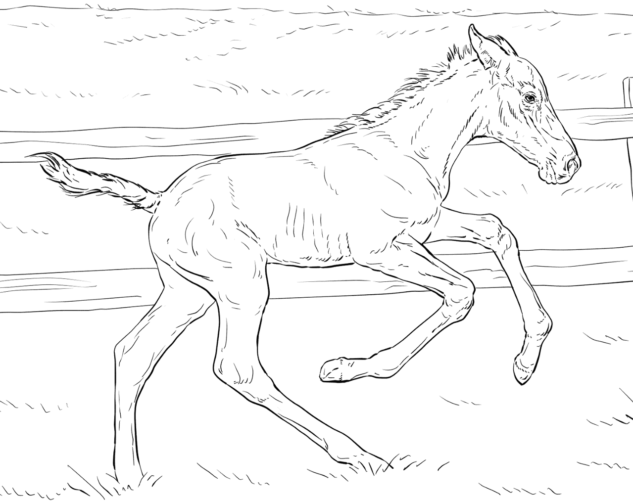 Desenho de Cavalos para colorir e imprimir: número 19