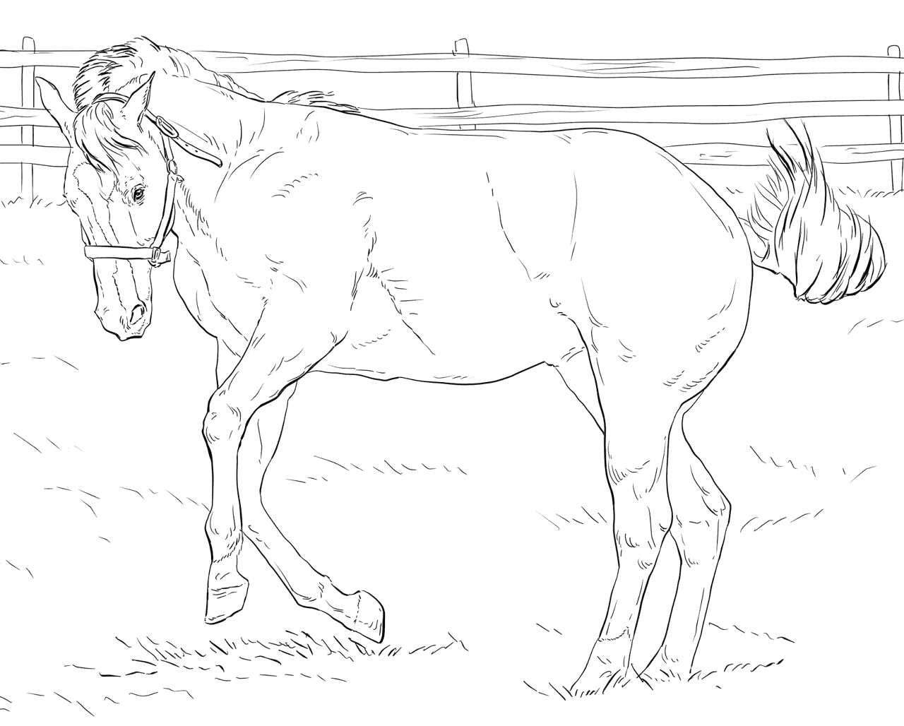 Desenho de Cavalos para colorir e imprimir: número 20