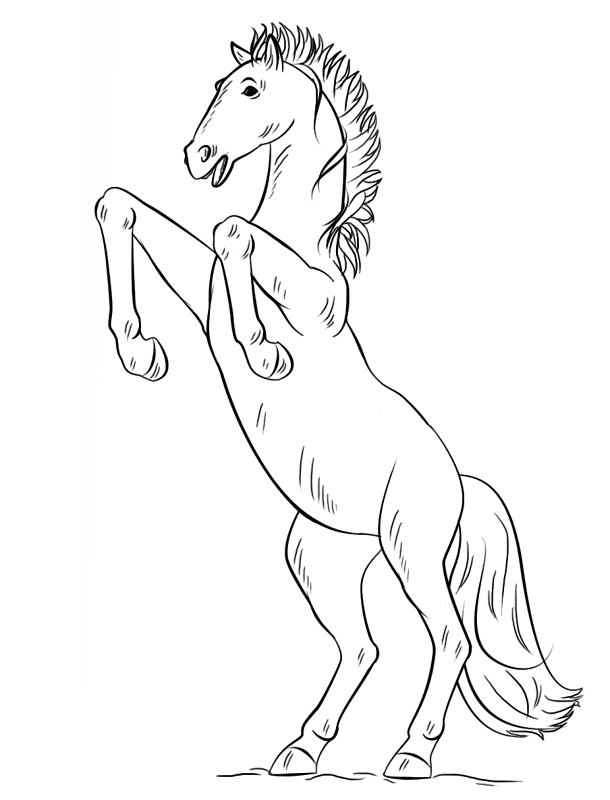 Desenho de Cavalos para colorir e imprimir: número 21
