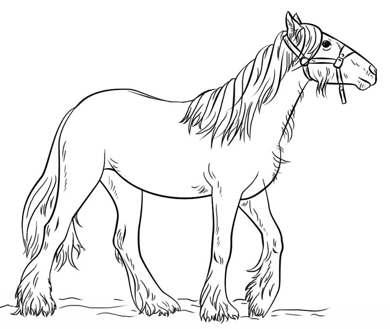 Desenho de Cavalos para colorir e imprimir: número 46