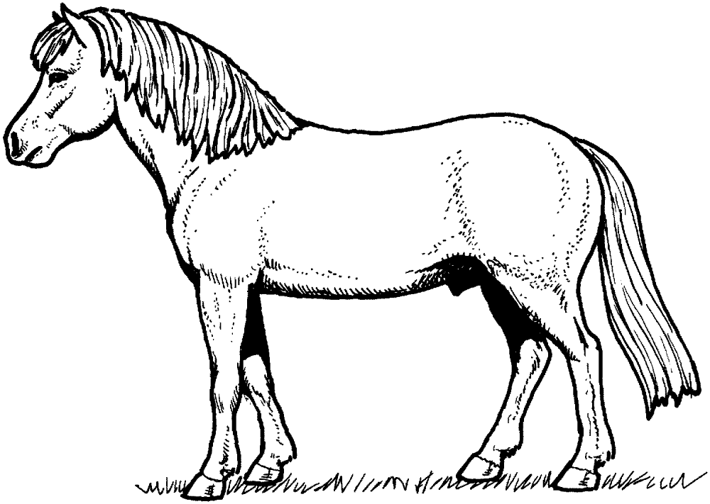 Desenho de Cavalos para colorir e imprimir: número 48