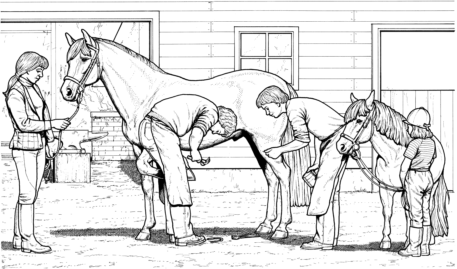 Desenho de Cavalos para colorir
