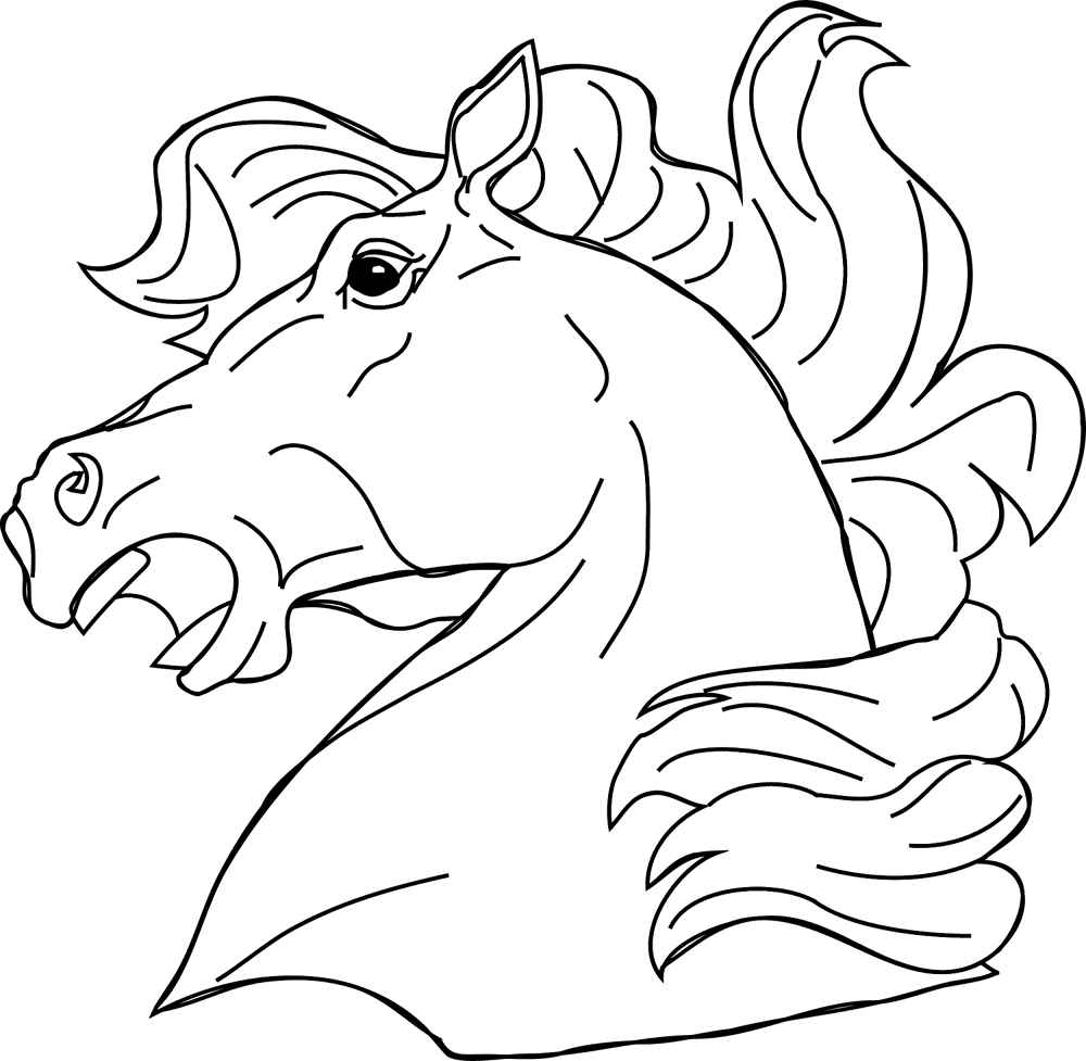 Desenho de Cavalos para colorir