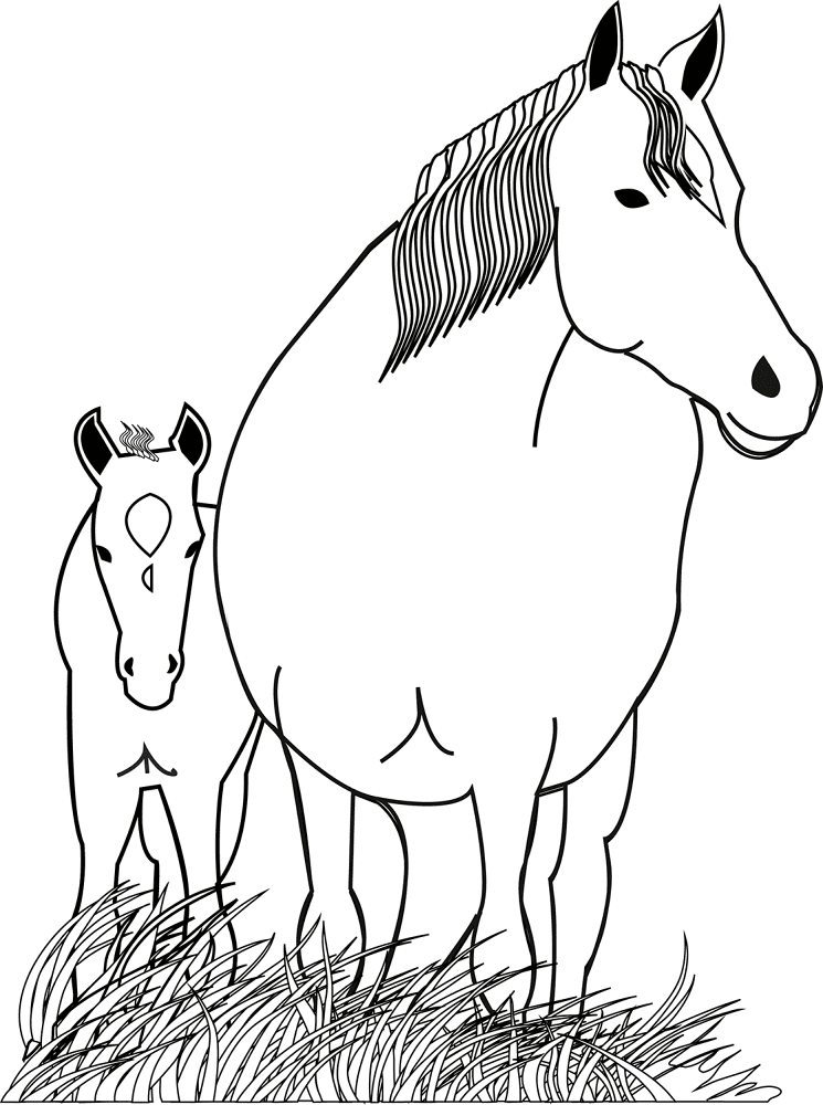 Desenho de Cavalos para colorir