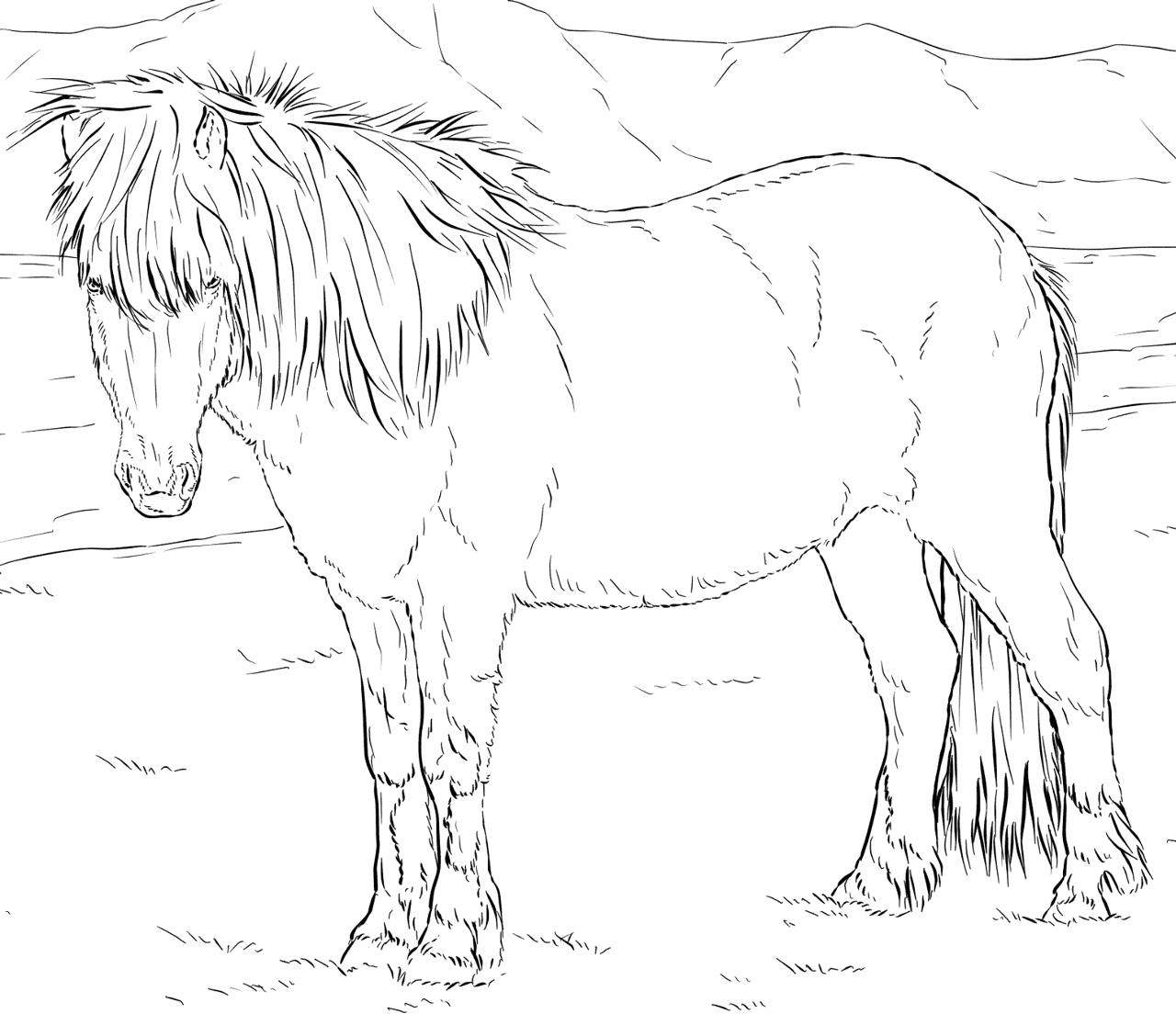 Desenho de Cavalos para colorir