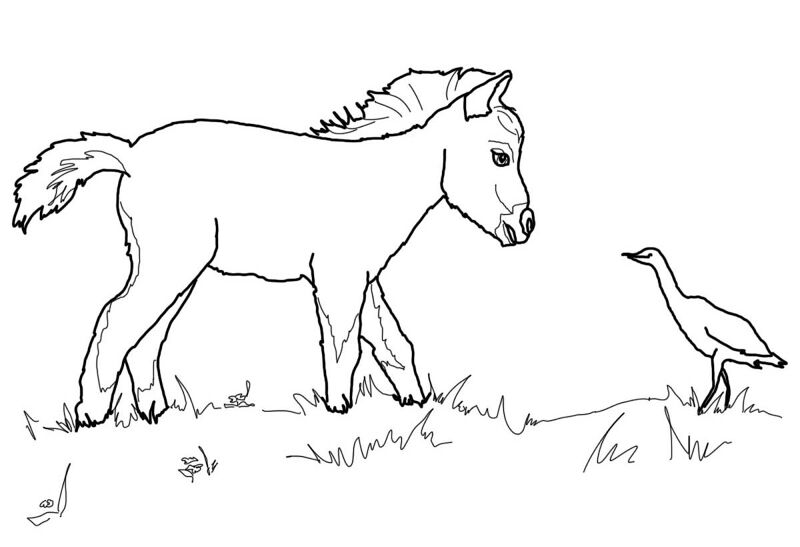 Desenho de Cavalos para colorir