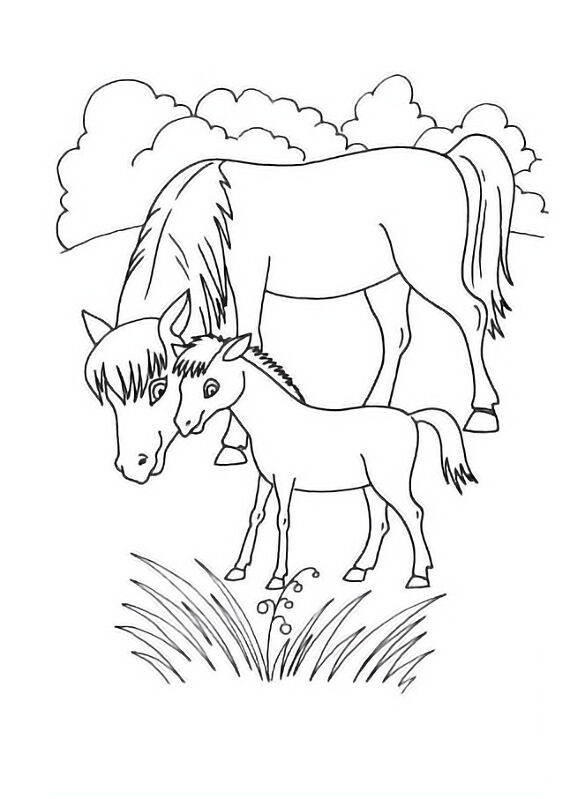 Desenho de Cavalos para colorir