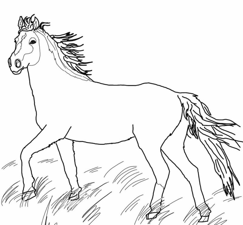 Desenho de Cavalos para colorir