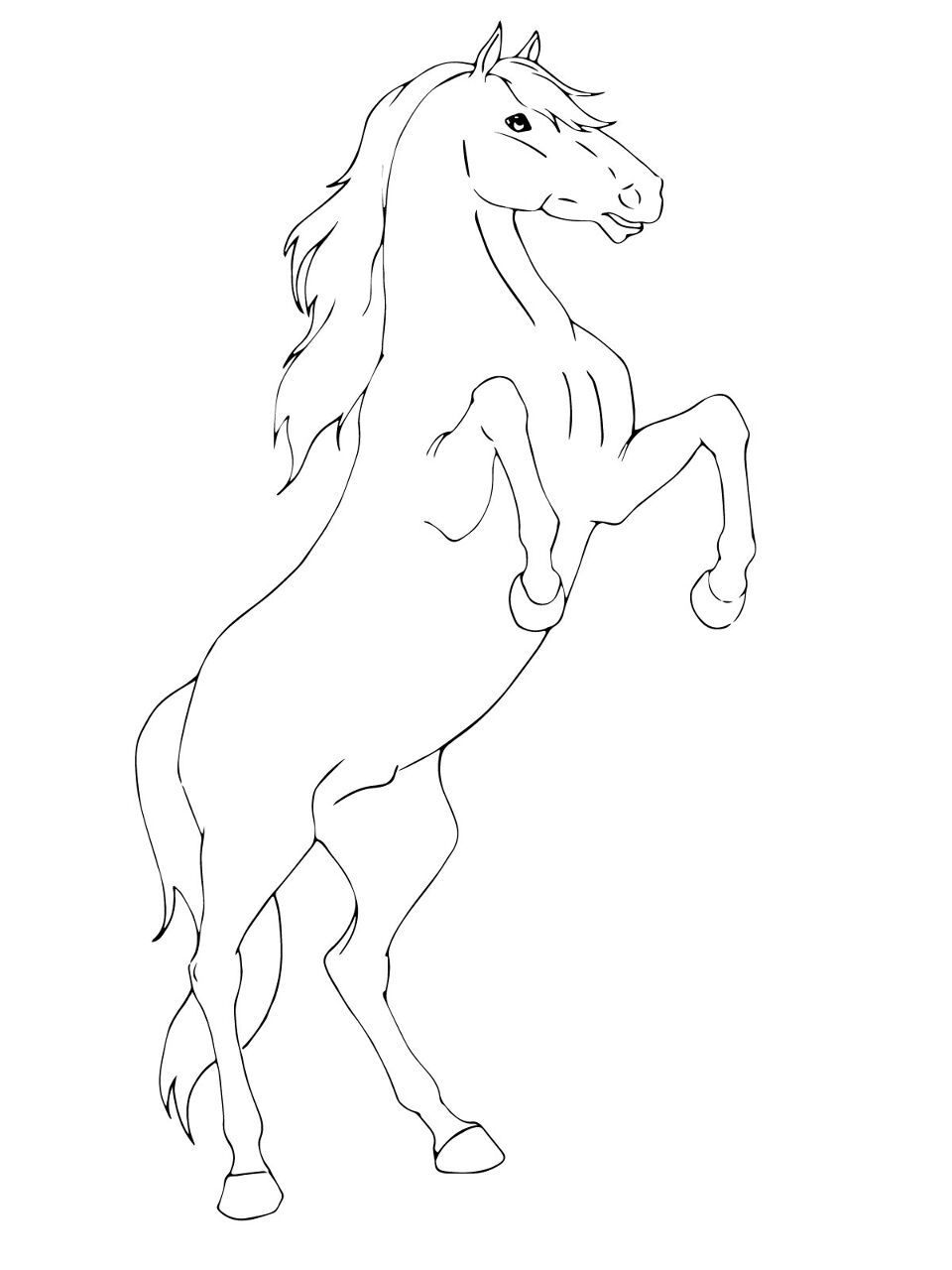 Desenho de Cavalos para colorir