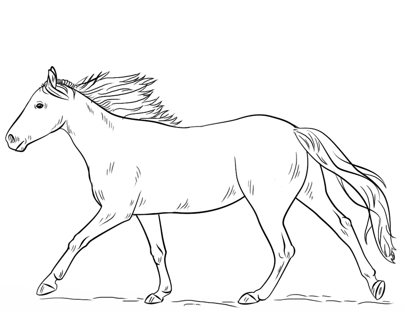 Desenho de Cavalos para colorir