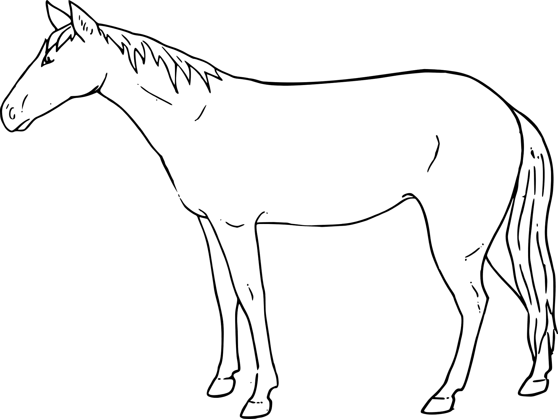 Desenho de Cavalos para colorir